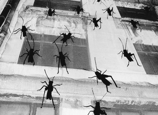 Erdem varol_Siilk Gallery8