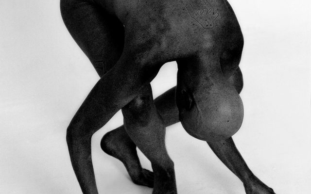 spruethmagers_arcinsagdic