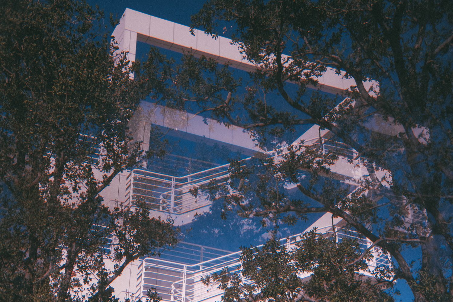 03_silkgallery_by_dadakinder