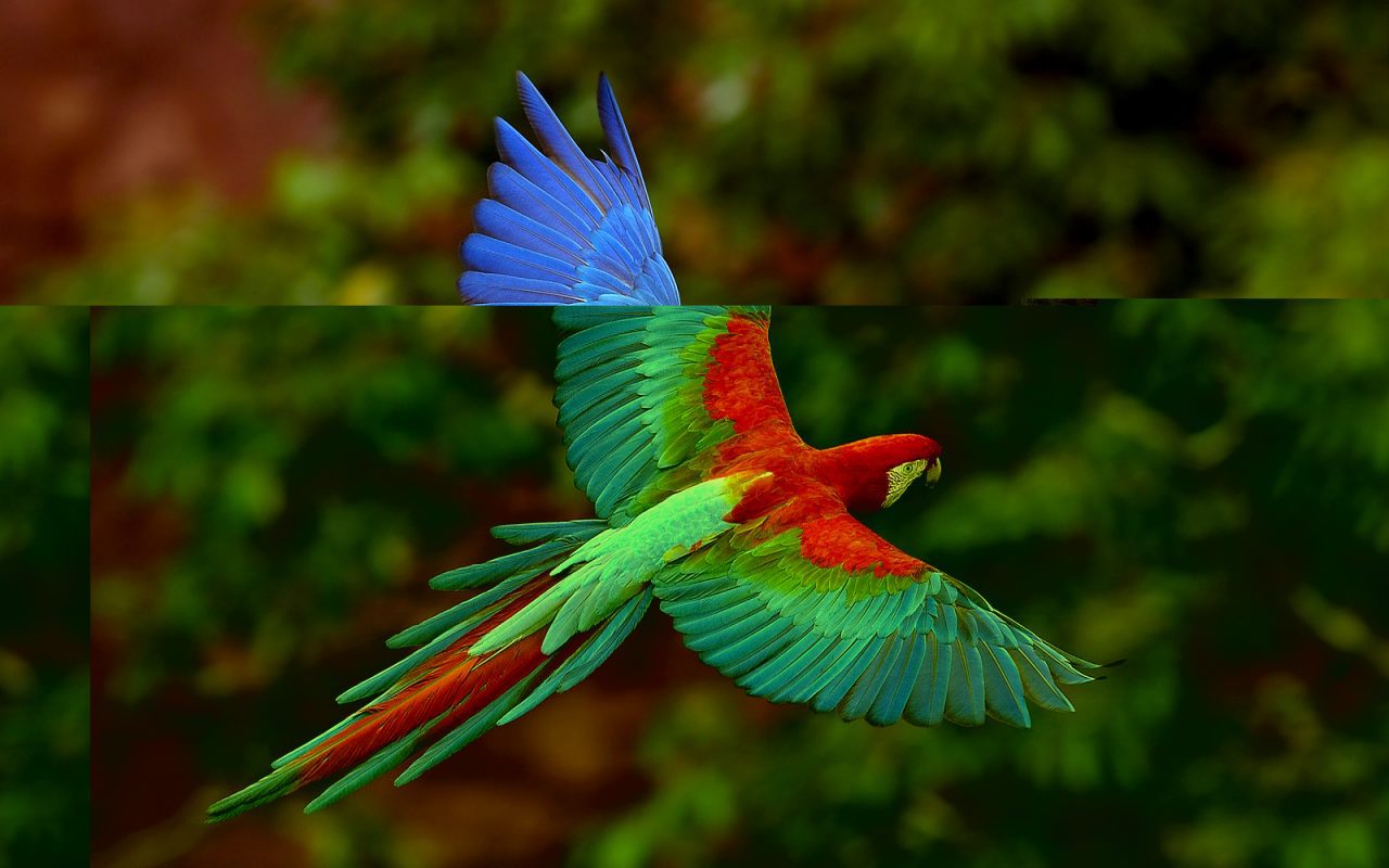 ElsaLeydier_SystemError_7