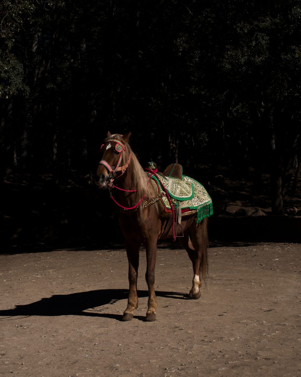 Manuel_Nieberle_siilkgallery-2