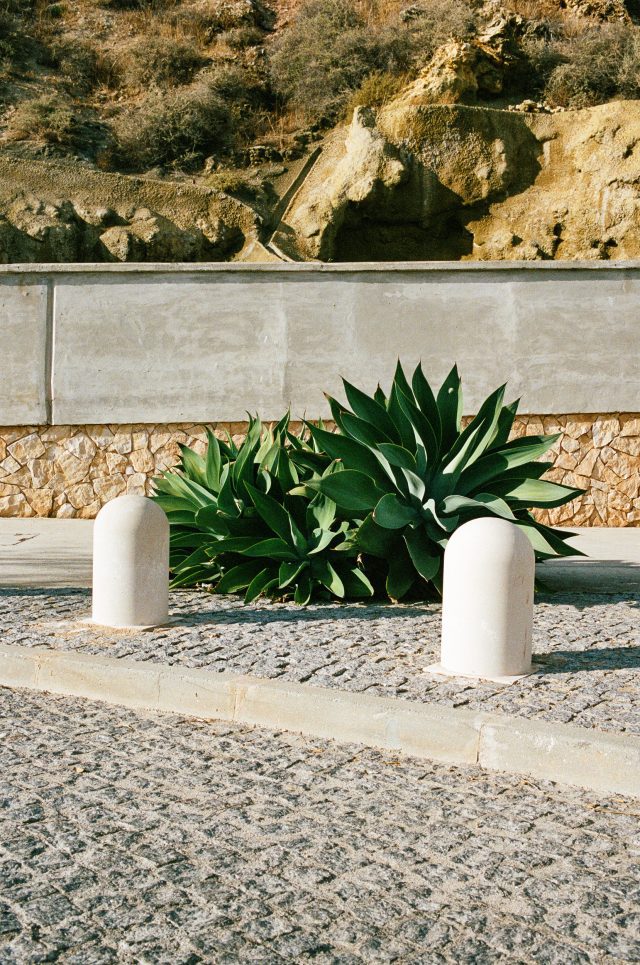 JENNE-7490jenne4449-4