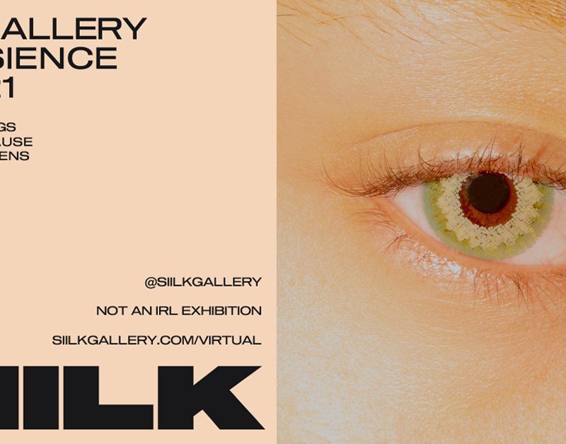 Transience - Virtual Exhibition