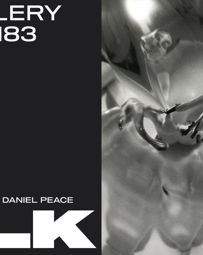 Siilk Gallery x Studio 183 - Berlin