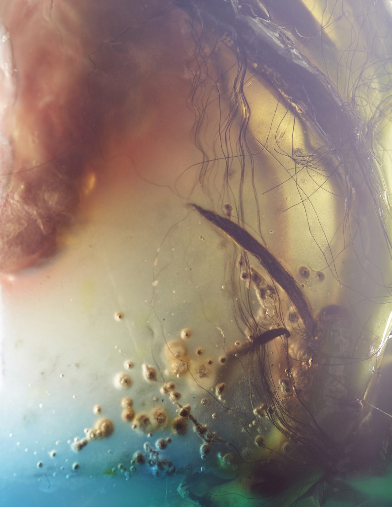 LCA CATALOGUE-2 copy