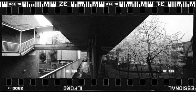 Screenshot-2020-05-01-at-10.55.47