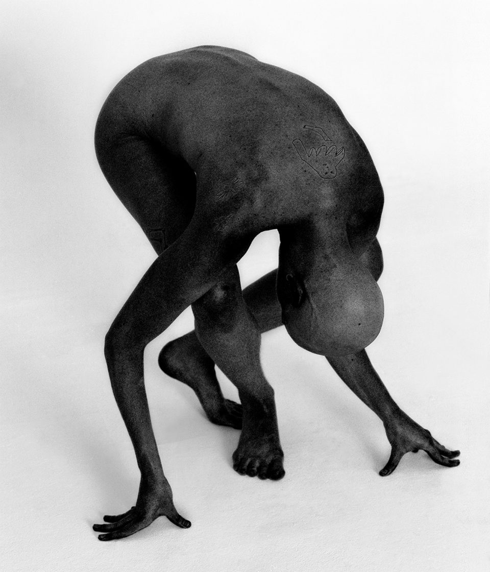 spruethmagers_arcinsagdic