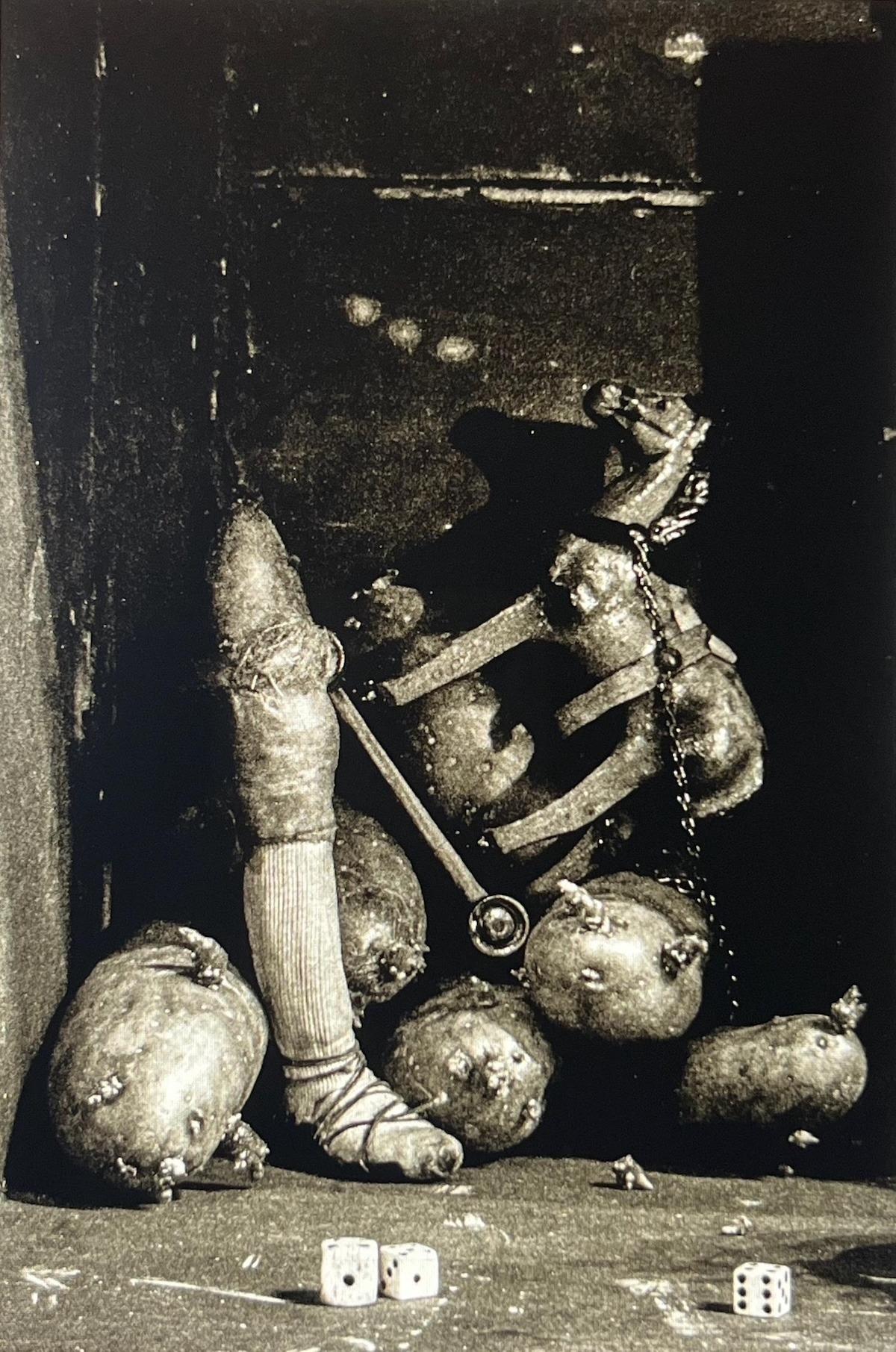 7361990B-24C6-4574-AFAC-FED1AD5584E0-2