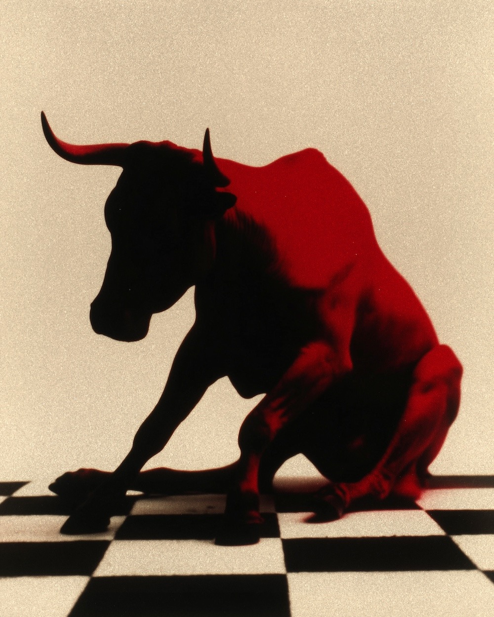 Stills_YZA-Voku_2026_2